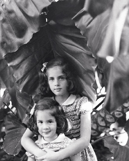 Herrera Family Tree Herrera Family Tree